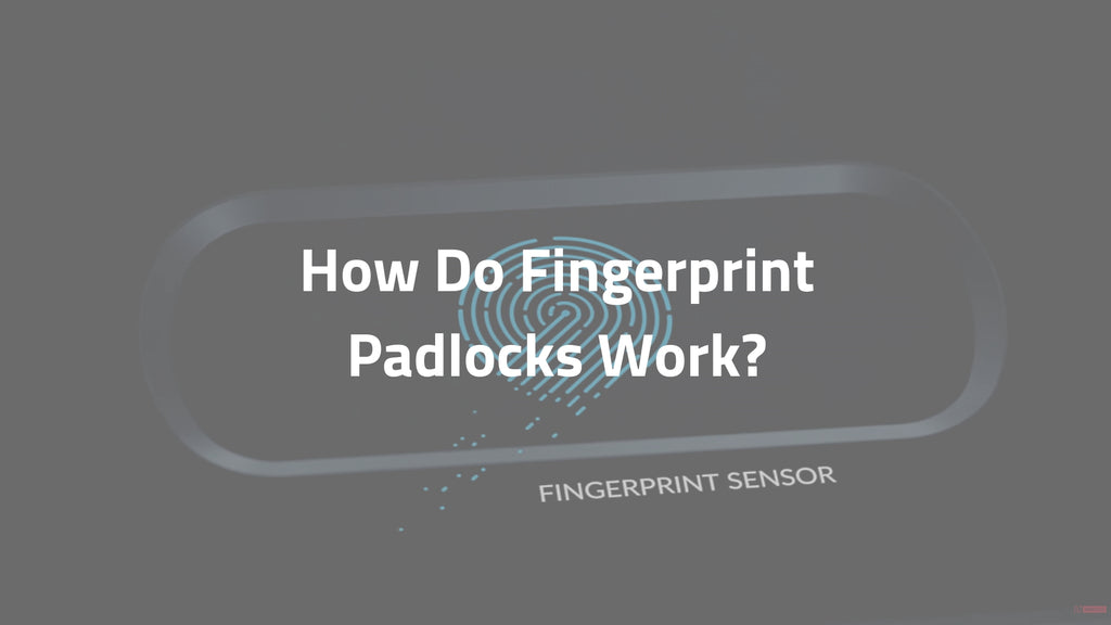 How Do Fingerprint Padlocks Work?